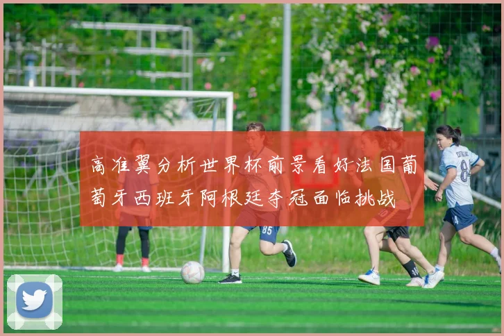 高准翼分析世界杯前景看好法国葡萄牙西班牙阿根廷夺冠面临挑战