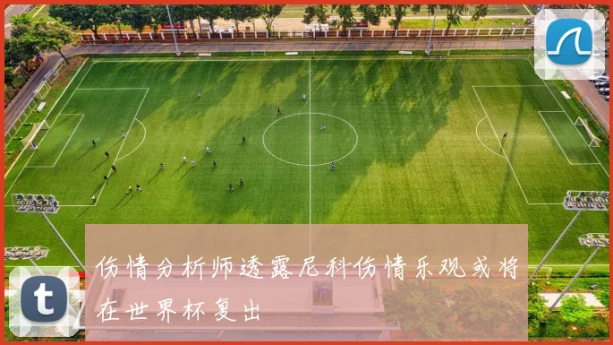 伤情分析师透露尼科伤情乐观或将在世界杯复出