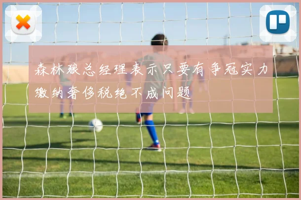 森林狼总经理表示只要有争冠实力缴纳奢侈税绝不成问题