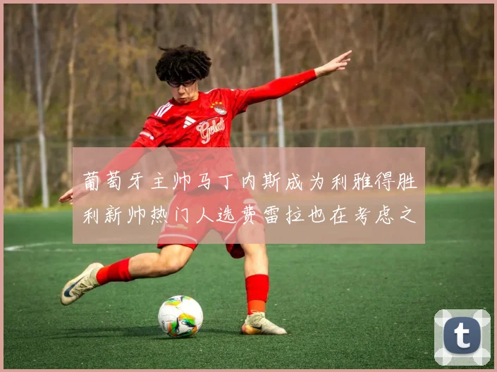 葡萄牙主帅马丁内斯成为利雅得胜利新帅热门人选费雷拉也在考虑之中